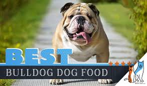 15 Best Dog Foods For Bulldogs Our 2019 In Depth Feeding Guide