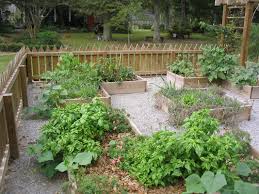 The moisture in your vegetable garden most likely attracted the pests in the first place. Take A Look At Raised Bed Gardens