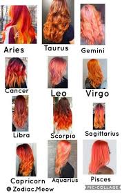 Hair Curly Color Life 24 Ideas Hairstyles Zodiac Signs Zodiac Signs Sagittarius Zodiac Sign Fashion