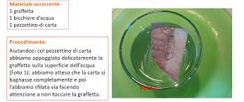Matematica Scienze Educazione Proprieta Tipiche Dei Liquidi