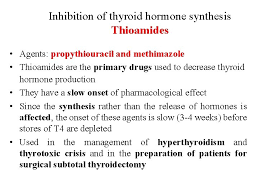 Chapter 38 Thyroid Antithyroid Drugs Thyroid Gland The