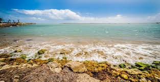 Maybe you would like to learn more about one of these? 4 South Padre Island Camping Spots For Year Round Beach Access