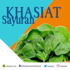 Sayuran ini mulai populer di pasaran berkat tren sayuran organik. Khasiat Sayuran Bayam Abu Muhammad Al Qiyanji Centre