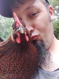 are my chickens considered free range if they have a 12ft by 14ft run and  have a small coop that they only go in to sleep