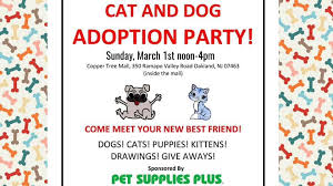 Shops in oakland, new jersey. Adoption Party Multi Rescue Psp Oakland Northstar Pet Rescue