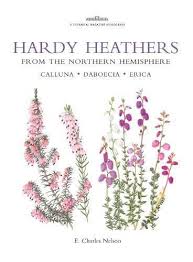 Hardy Heathers From The Northern Hemisphere Calluna Daboecia Erica Botanical Magazine Monograph You Can Get More Deta Heather Flower Botany Books Botanical