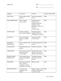 Maybe you would like to learn more about one of these? Cell Organelles Worksheet Pdf Endoplasmic Reticulum Cell Biology