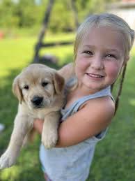 Shannon's Southern Golden Retriever & Goldendoodle puppies added a new...