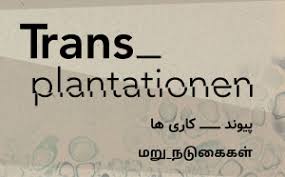 Bildergebnis für Doreen Sibanda