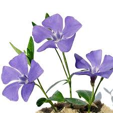 Pin On Water Color Painting