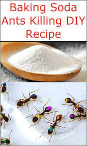 Pin On Home Remedies