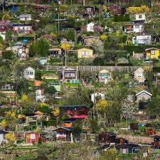 Schrebergarten Jena Garten Nature Ruhe Entspannung Allesbluht Canon Love Jenaparadies Jena Schrebergarten Erfurt