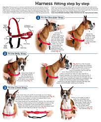 Details About Petsafe Easy Walk Dog Harness Adjustable High Quality Nylon Medium Large Red