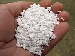 Similarly to perlite, the amount of vermiculite you will need in order to benefit from its properties depends on your plant, soil texture, and the environment. Perlite Vs Vermiculite Differences Which One Is Better My Garden Guide