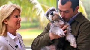 Marine Andrew Tahmooressi details ...
