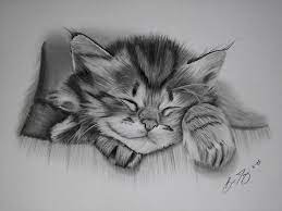 Pin On Drawings