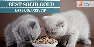 Solid gold cat food reviews. Pin On Cat Foods