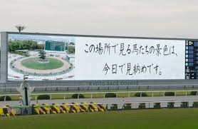 中京競馬場 今日のレース