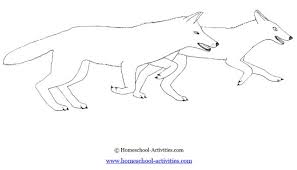 You may use these picture for backgrounds on computer system with high quality resolution. Wolf Coloring Pages Art Projects For Kids