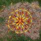 Two-Day Workshop: Art in Nature, Nature in Art