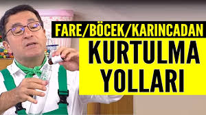 Evde gezen bir fare gördüğümüzde onlardan kurtulmak için kapan veya zehir kullanmak isteriz. Evde Bocek Fare Ve Karincadan Kurtulma Yollari Youtube