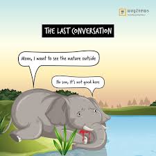 Artists Pay Tribute To The Pregnant Elephant Who Died Due To Someone Stuffing A Pineapple With Fireworks Bored Panda Funny cartoon pineapple character surfing for summer background. pregnant elephant who died due