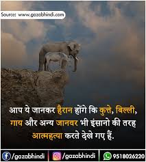 Pin On Feelings Quotes