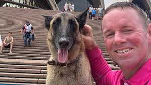 Veteran Garth Murray and assistance dog Max make it to Sydney in mental  health journey