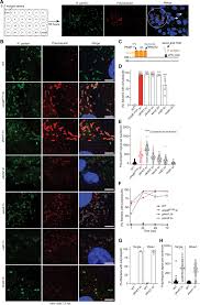 Ah koye ha chow & co. Rrmn4ou008u2om