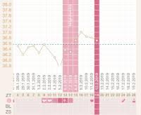 Wann sie ihren frauenarzt aufsuchen sollten. Doch Kein Eisprung Nfp Experten Bitte Mal Schauen Urbia De