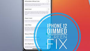 How To Fix Iphone 12 Pro Max Dimmed Screen Issue Low Brightness