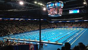 Women's team was capable of winning every gold medal at the pool in tokyo. How Big Is An Olympic Swimming Pool