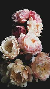 Pin On Background Pictures