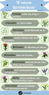 The 10 Best Medicinal Plants From Our Own Garden Medicinal Plants Healing Garden Plants