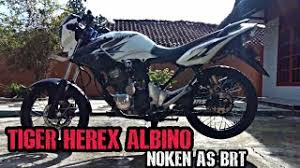 Honda tiger revo jahitan 2017 miliknya jadi eksperimen adalah tiger herex pece tiger herex putih modifikasi tiger thailook modifikasi tiger herex kontes tiger herex. Riview Tiger Herex Pece Youtube