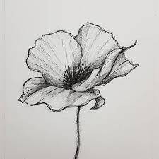 Remember Remembrance Day Drawings Remembrance Day Art Ink Illustrations