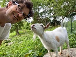 Shutterbug Finalists