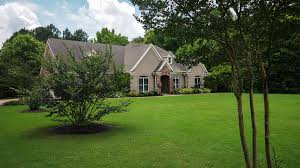 Where do you need the landscaping? Augusta Lawn Care Of Cordova Vs Master Lawn 2 Options For Memphis Tn