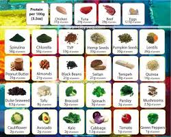 protine chart only some of the many foods that have