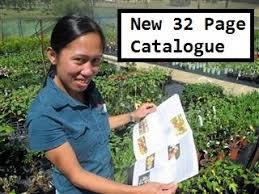 They literally have every possible type of fruit tree, berry bush or nut tree you can grow in tx. Buy Fruit Trees Online Daleys Online Nursery