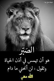 لن انحني ما دام الله معي funny arabic quotes arabic quotes beautiful arabic words