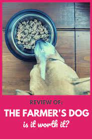 The Farmer S Dog Food Review Is Farmer S Dog Worth It Healthy Dog Food Recipes Dog Food Reviews Healthy Dog Food Brands