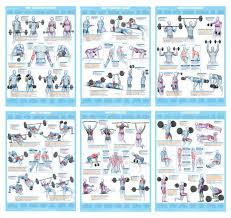 Train with us and perform all the exercises c pictures in order to lose weight or to pump! Back Muscle Workout Chart Pin By Halah Alateeq On Fitness Back Muscles Back Muscle Exercises Gym Workout For Beginners They Work Together Because The Biceps Are Directly Connected To