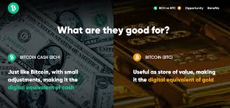 Part 2 what is bitcoin cash? Kim Dotcom Publishes A Website That Highlights The Benefits Of Bitcoin Cash Bitcoin News
