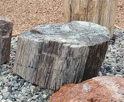 Maybe you would like to learn more about one of these? Pw06 Black Petrified Wood Fountain Eventeny