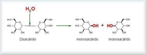 De hidrólisis