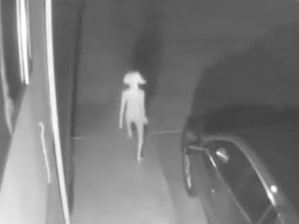 Odd creature caught on security camera, and Internet has thoughts