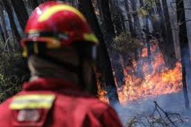 Chegaram a ser mobilizados três meios aéreos, não havendo casas em risco. Mais De Cem Bombeiros E Um Meio Aereo Combatem Incendio Em Loures Correio Da Manha Canada