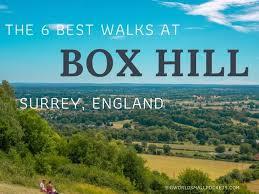 The days out have been focussed on the key market towns within the surrey hills; Box Hill Walks The Best 6 Big World Small Pockets