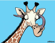 # stick out tongue # stick tongue out # sticking out tongue # sticking tongue out # tongue out. Giraffe Tongue Gifs Tenor
